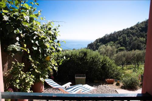 Apartamento Casa Cinzia Bonassola Cinque Terre