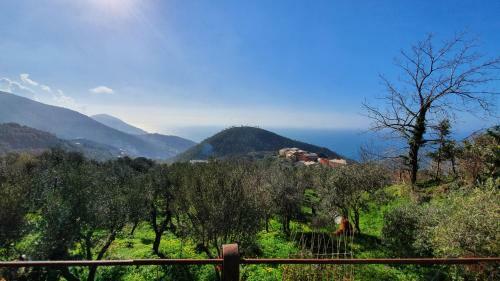 Hostal Cla Cha B&B