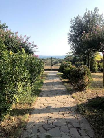 Villa Casa Wafira