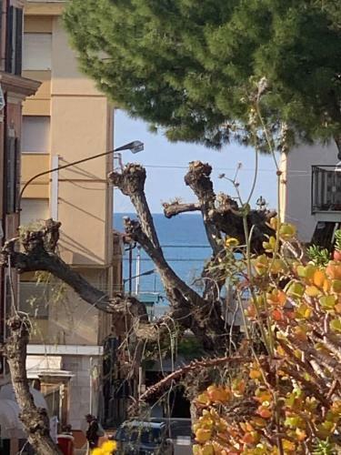 Apartamento Casa Ginestra Mare