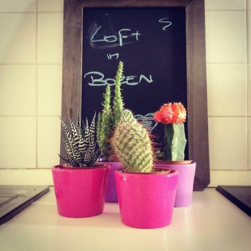 Apartamento Loft L'alessandra