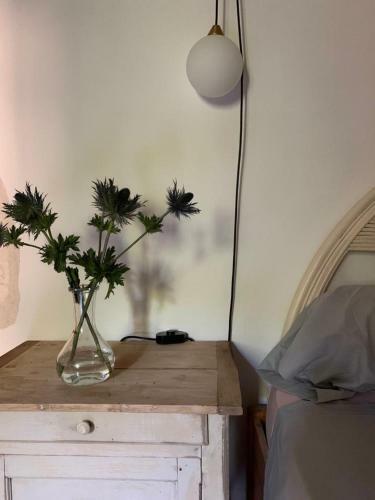 Bed & Breakfast Le Patio D'arles