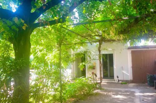 Villa Le Moulin Rouge