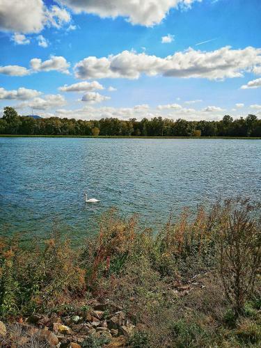 Apartamento Le Mont Blanc Sauna Privatif - Le Cl�t Couvert