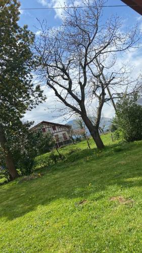 Bed & Breakfast Maison Amoraina