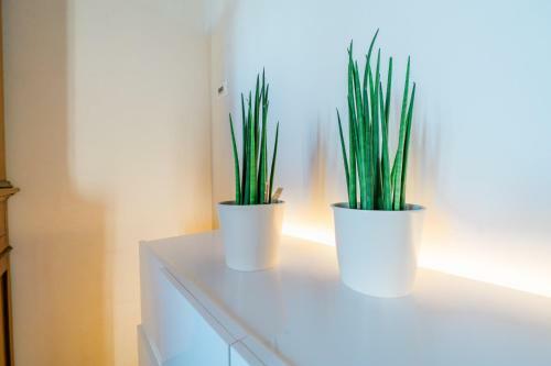 Pareto Apartment