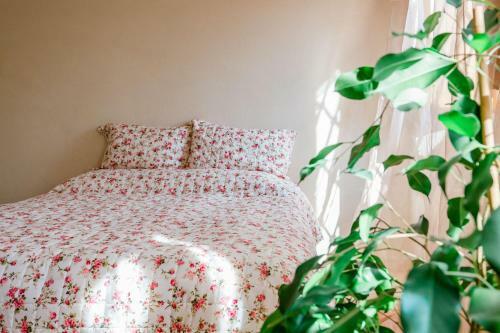 Apartamento Sweet Dreams