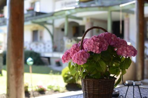 Hostal S'hoamatl