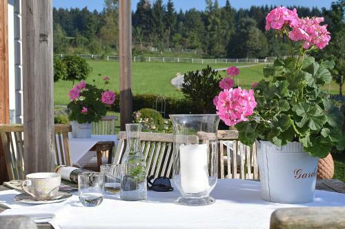 Hostal Gut Hiasenhof