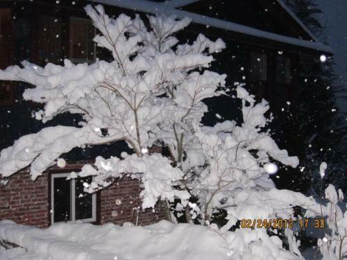 Creekside B&B