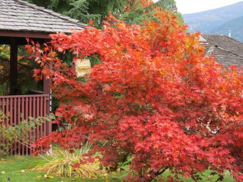 Creekside B&B