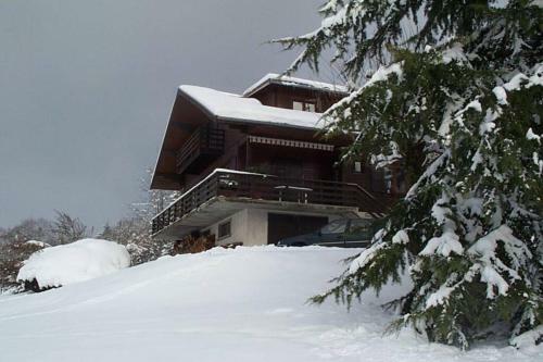 Chalet Avec Vue Idyllique