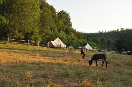 Air De Camping - Chemin De Traverse