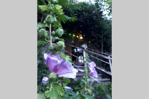 Maison 18 Pers. En Sud Ard�che, � 2 Pas D'aubenas
