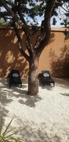 Apartamento Suite 24