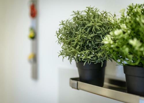 Art View Luxury Apartment