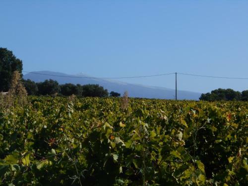 Mas Provencal Le Rocan