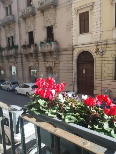 Apartamento Casa De Gi�