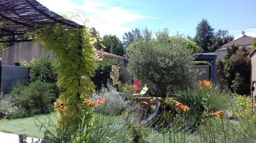 Eclats Du Sud