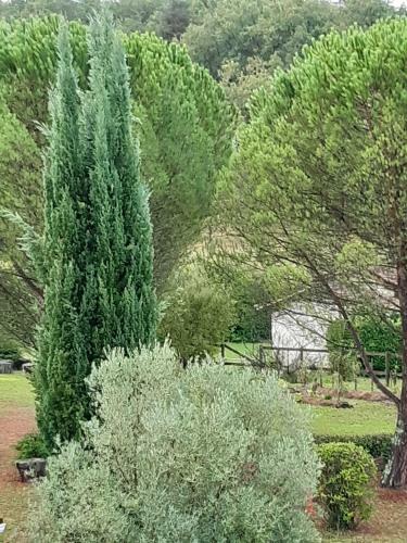 Bed & Breakfast Domaine Des Cypres
