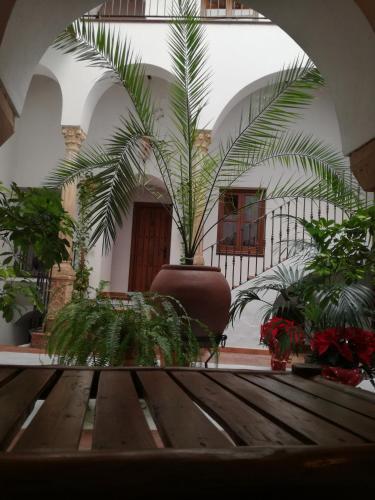 Hostal Casa Maika