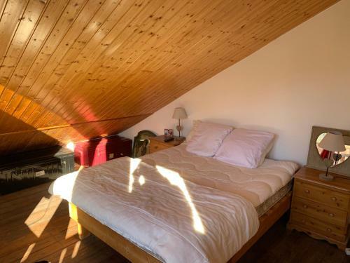 Chalet Auris