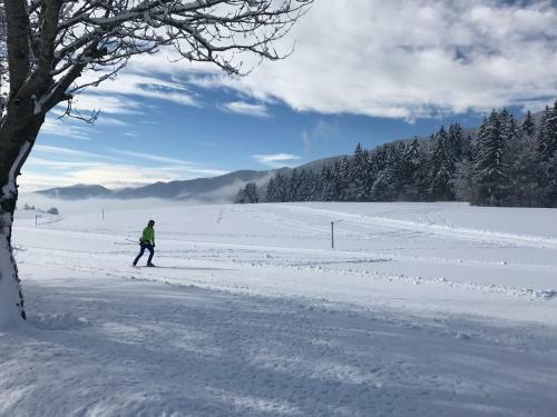 Apartamento Le Chevreuil