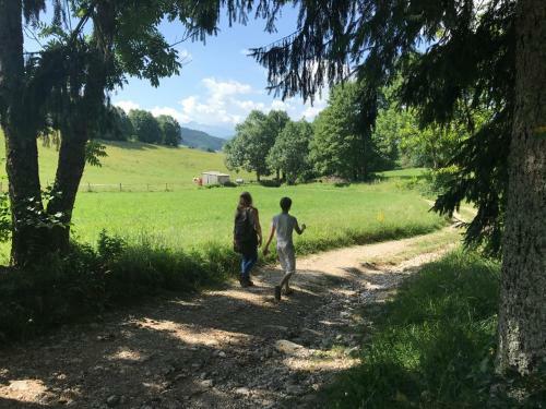 Apartamento Le Chevreuil