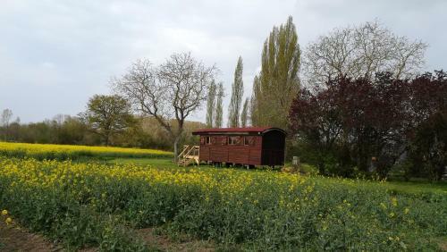 Bed & Breakfast Domaine de L'isle Et Roulotte