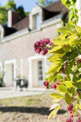 Bed & Breakfast Les Terrasses Suite Et Loft de Campagne