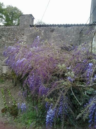 G�te Du Jardin