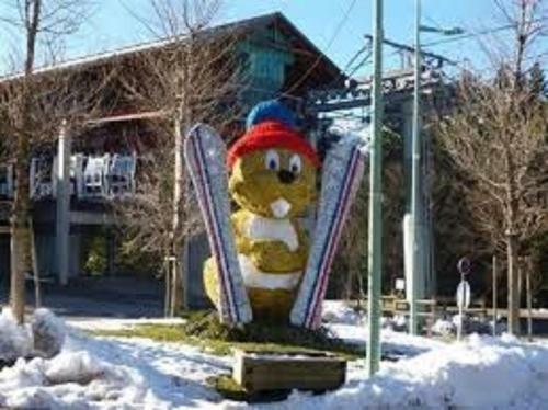 Apartamento Un Isard Au Pied Des Pistes