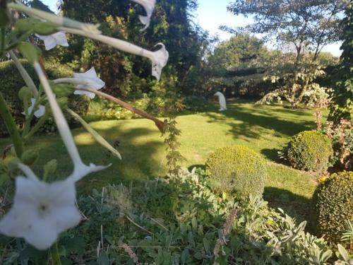 Bed & Breakfast Le Clos Falaw