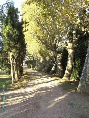 Domaine Les Salices