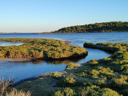 Fisherman's View