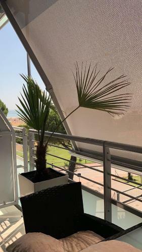 Residence Vivaldi Private Apartment