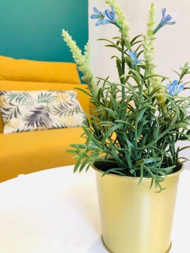 Apartamento #t3 Intra-muros Avignon