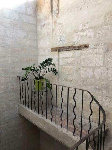 Apartamento Avignon Pedestrian Center Large And Bright Appt