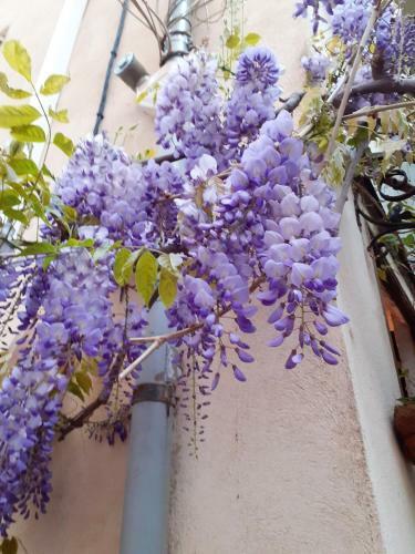 Maison de 2 Chambres Avec Terrasse Et Wifi A Avignon