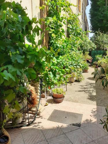 Maison de 2 Chambres Avec Terrasse Et Wifi A Avignon