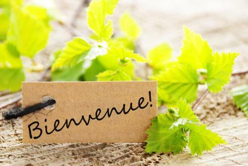 Yourtes 6 Personnes Proche Provins Et Disney