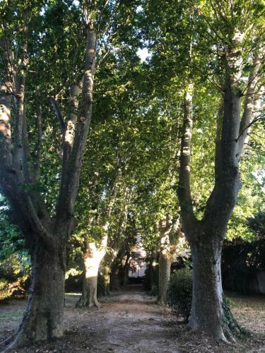La Bastide De Barbentane