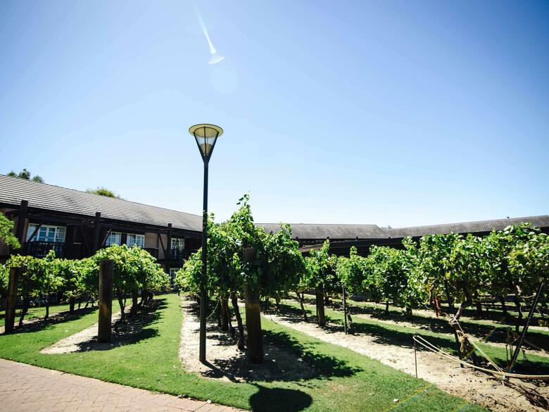 Hotel Novotel Vines Resort Swan Valley