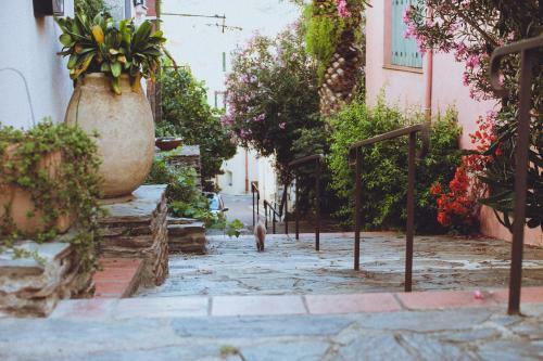 Apartamento Regina's Banyuls - Comfortable And Next To The Beach