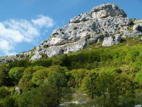 Bed & Breakfast Gite Campagnard