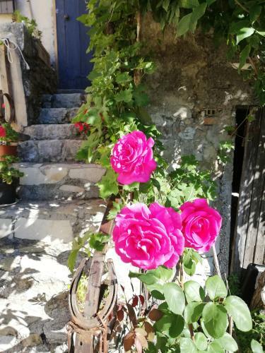 Bed & Breakfast Gite Campagnard