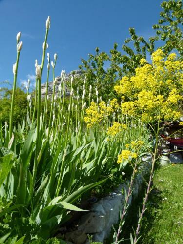 Bed & Breakfast Gite Campagnard