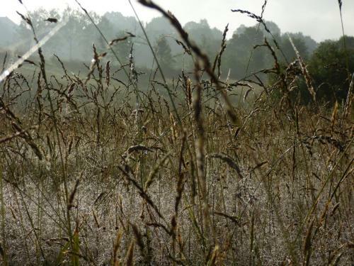 Hostal La Tiny Des 3 Pics