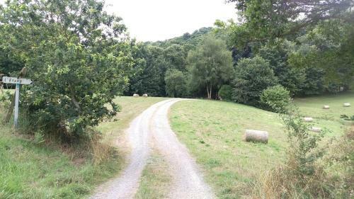 L'etang