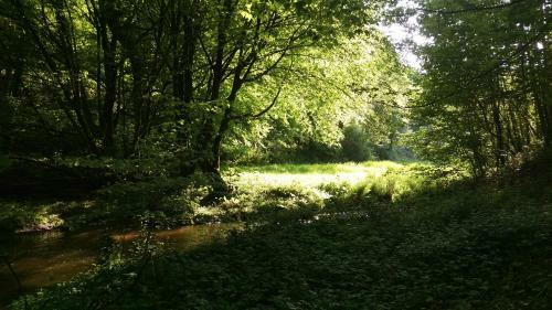 L'etang